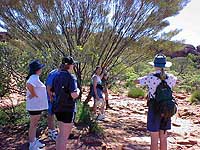 ���������W���[�ƒT�������s