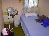 �V���v���ȕ���