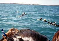 �C���J��T���C�����V��